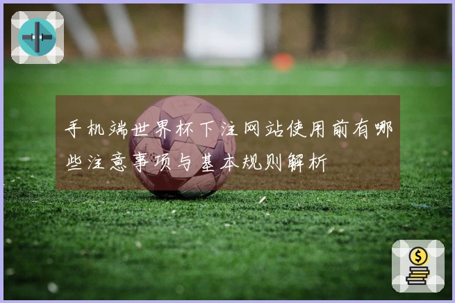 手机端世界杯下注网站使用前有哪些注意事项与基本规则解析
