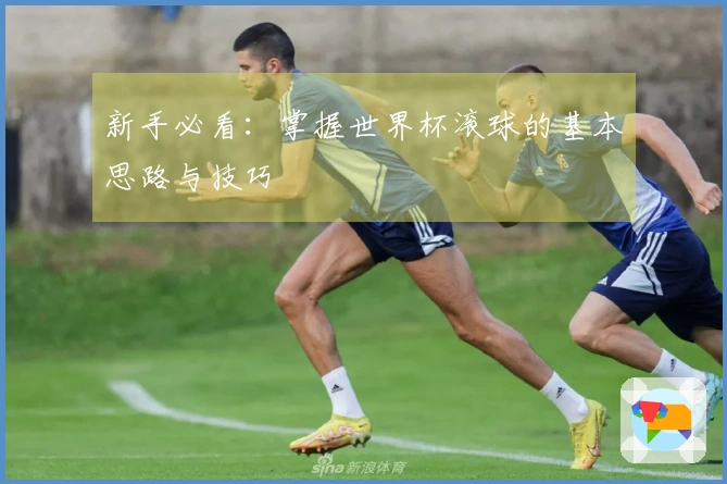 新手必看：掌握世界杯滚球的基本思路与技巧