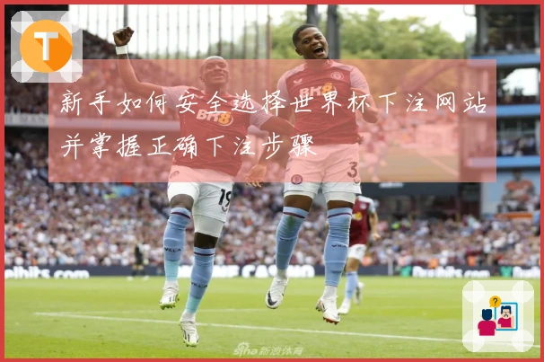 新手如何安全选择世界杯下注网站并掌握正确下注步骤