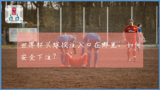 世界杯买球投注入口在哪里，如何安全下注？