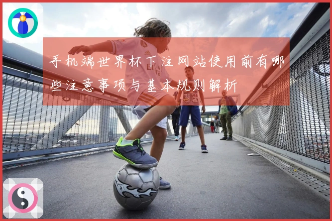 手机端世界杯下注网站使用前有哪些注意事项与基本规则解析